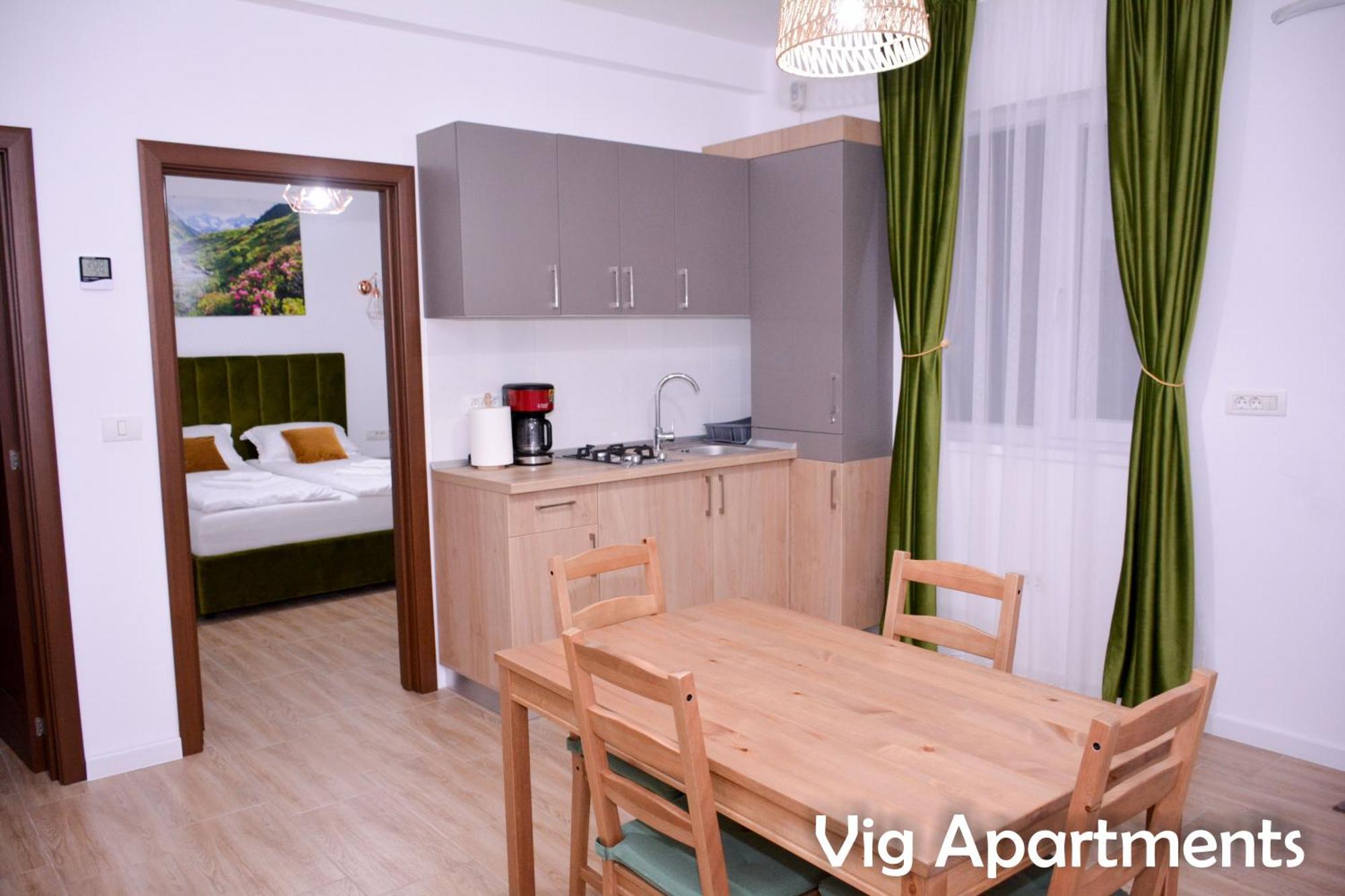 Vig Apartments Timișoara Zewnętrze zdjęcie