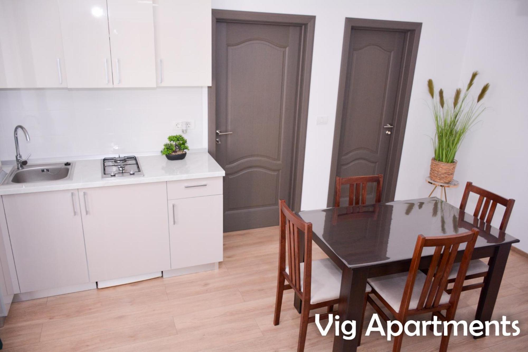 Vig Apartments Timișoara Zewnętrze zdjęcie